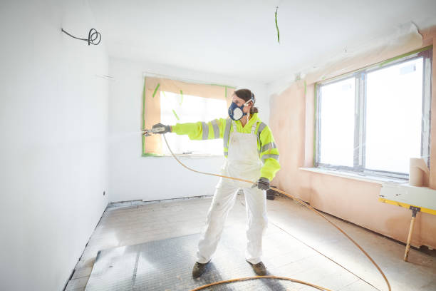 Mold Odor Removal Services in Capitol View, SC