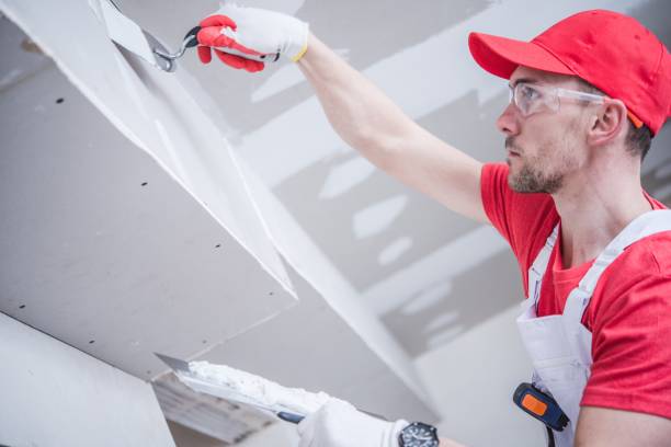 Mold Documentation for Insurance Claims in Capitol View, SC
